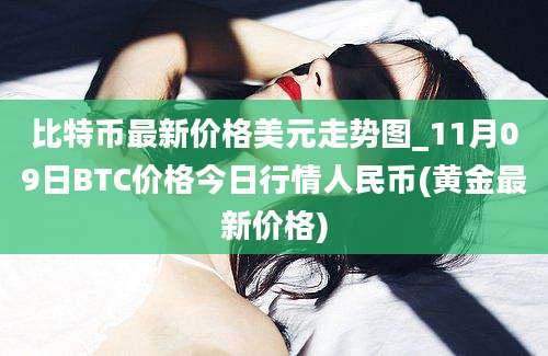 比特币最新价格美元走势图_11月09日BTC价格今日行情人民币(黄金最新价格)