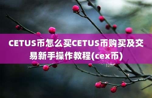 CETUS币怎么买CETUS币购买及交易新手操作教程(cex币)