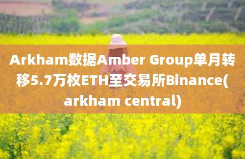 Arkham数据Amber Group单月转移5.7万枚ETH至交易所Binance(arkham central)