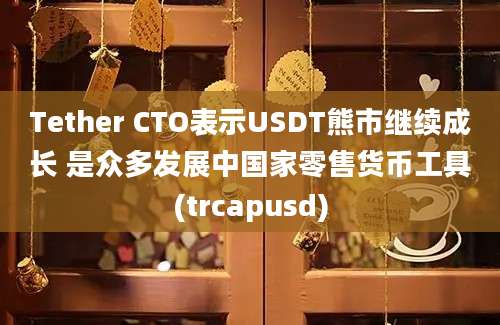 Tether CTO表示USDT熊市继续成长 是众多发展中国家零售货币工具(trcapusd)