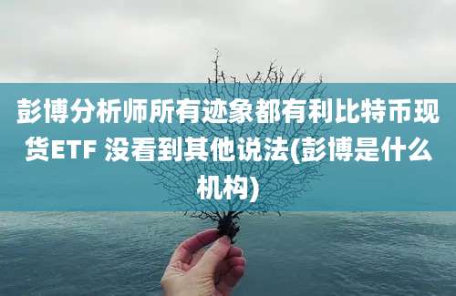 彭博分析师所有迹象都有利比特币现货ETF 没看到其他说法(彭博是什么机构)