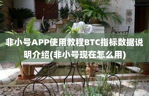 非小号APP使用教程BTC指标数据说明介绍(非小号现在怎么用)