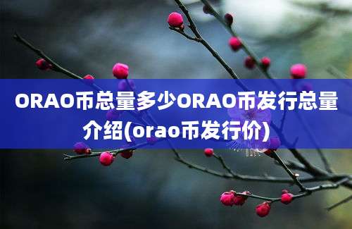 ORAO币总量多少ORAO币发行总量介绍(orao币发行价)