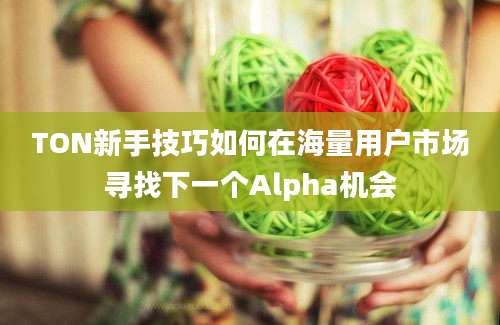 TON新手技巧如何在海量用户市场寻找下一个Alpha机会