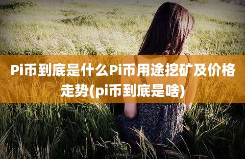 Pi币到底是什么Pi币用途挖矿及价格走势(pi币到底是啥)