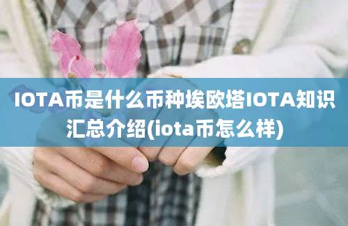 IOTA币是什么币种埃欧塔IOTA知识汇总介绍(iota币怎么样)