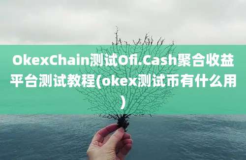 OkexChain测试Ofi.Cash聚合收益平台测试教程(okex测试币有什么用)