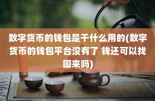 数字货币的钱包是干什么用的(数字货币的钱包平台没有了 钱还可以找回来吗)