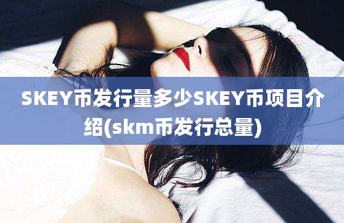 SKEY币发行量多少SKEY币项目介绍(skm币发行总量)