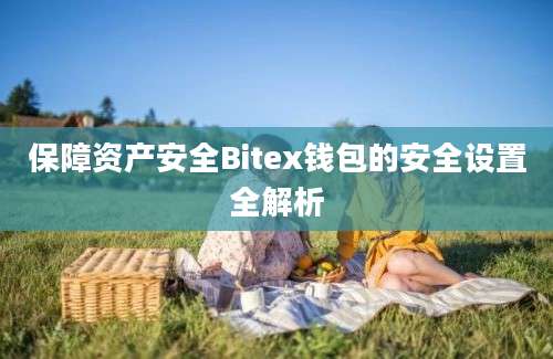 保障资产安全Bitex钱包的安全设置全解析