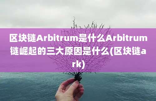 区块链Arbitrum是什么Arbitrum链崛起的三大原因是什么(区块链ark)