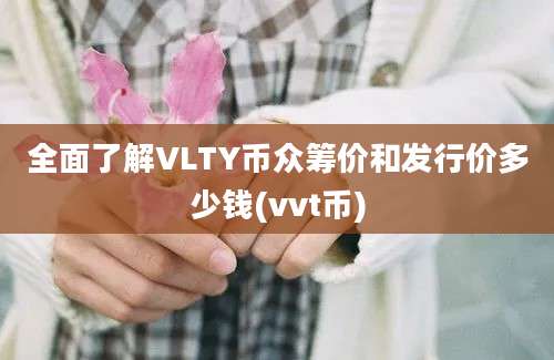 全面了解VLTY币众筹价和发行价多少钱(vvt币)