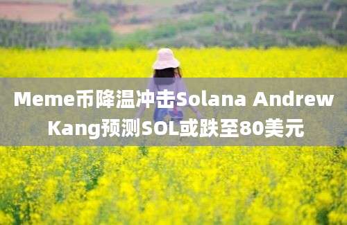 Meme币降温冲击Solana Andrew Kang预测SOL或跌至80美元