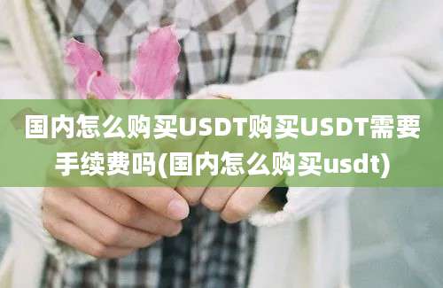 国内怎么购买USDT购买USDT需要手续费吗(国内怎么购买usdt)