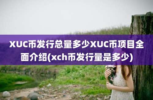 XUC币发行总量多少XUC币项目全面介绍(xch币发行量是多少)