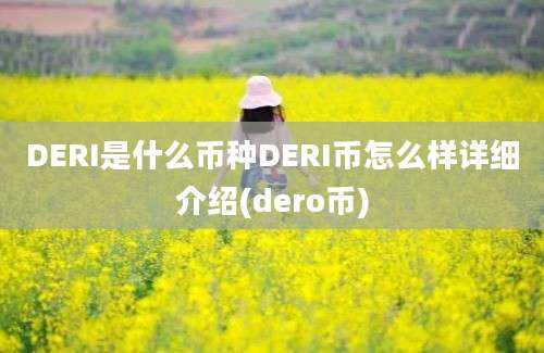 DERI是什么币种DERI币怎么样详细介绍(dero币)