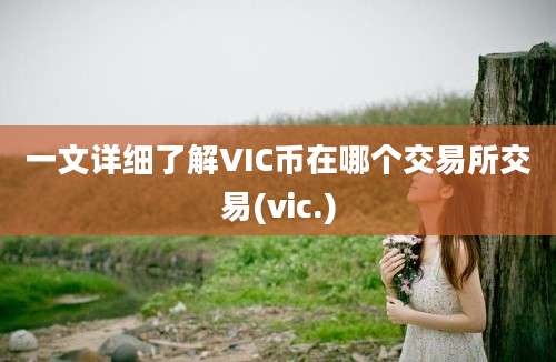 一文详细了解VIC币在哪个交易所交易(vic.)