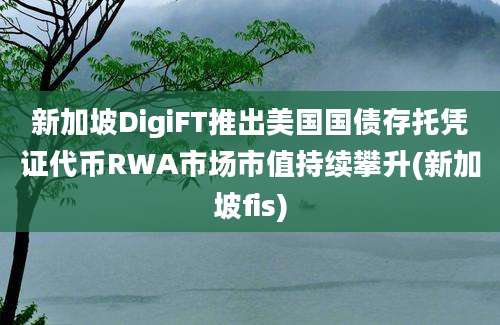 新加坡DigiFT推出美国国债存托凭证代币RWA市场市值持续攀升(新加坡fis)