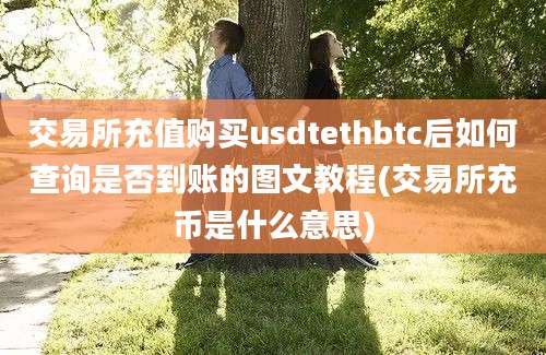 交易所充值购买usdtethbtc后如何查询是否到账的图文教程(交易所充币是什么意思)