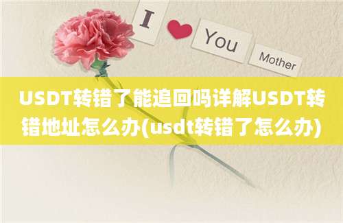 USDT转错了能追回吗详解USDT转错地址怎么办(usdt转错了怎么办)