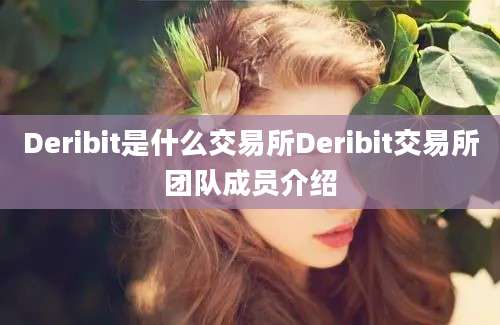 Deribit是什么交易所Deribit交易所团队成员介绍