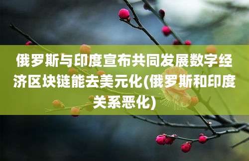 俄罗斯与印度宣布共同发展数字经济区块链能去美元化(俄罗斯和印度关系恶化)