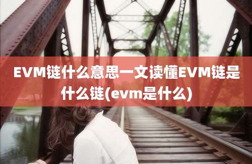 EVM链什么意思一文读懂EVM链是什么链(evm是什么)