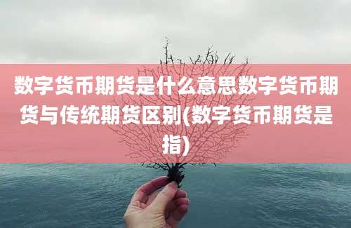 数字货币期货是什么意思数字货币期货与传统期货区别(数字货币期货是指)