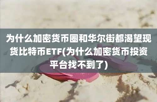 为什么加密货币圈和华尔街都渴望现货比特币ETF(为什么加密货币投资平台找不到了)