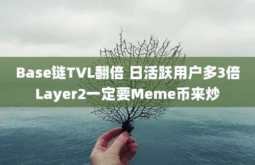 Base链TVL翻倍 日活跃用户多3倍Layer2一定要Meme币来炒