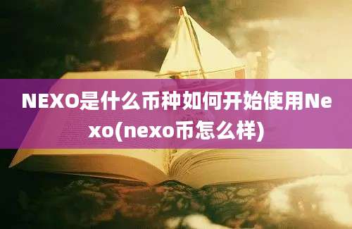 NEXO是什么币种如何开始使用Nexo(nexo币怎么样)