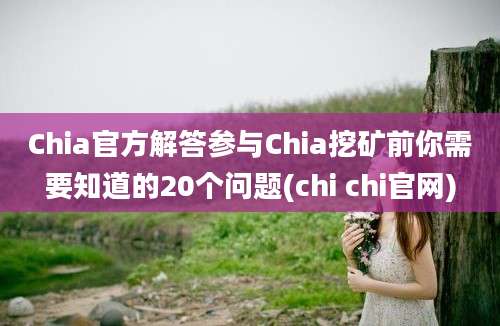 Chia官方解答参与Chia挖矿前你需要知道的20个问题(chi chi官网)