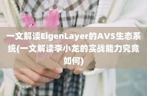 一文解读EigenLayer的AVS生态系统(一文解读李小龙的实战能力究竟如何)