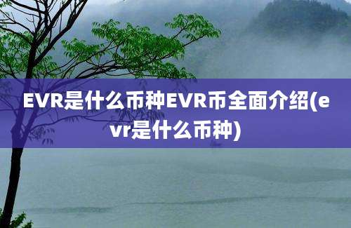 EVR是什么币种EVR币全面介绍(evr是什么币种)