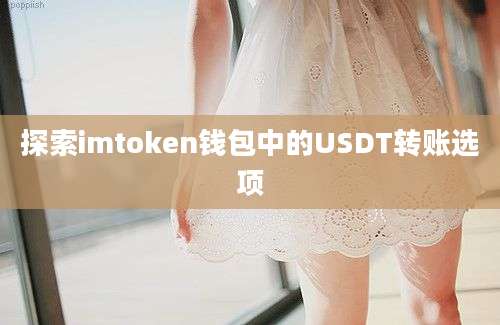 探索imtoken钱包中的USDT转账选项