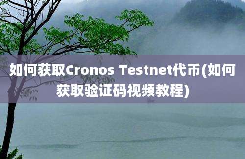 如何获取Cronos Testnet代币(如何获取验证码视频教程)