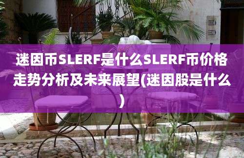 迷因币SLERF是什么SLERF币价格走势分析及未来展望(迷因股是什么)