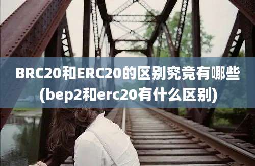 BRC20和ERC20的区别究竟有哪些(bep2和erc20有什么区别)