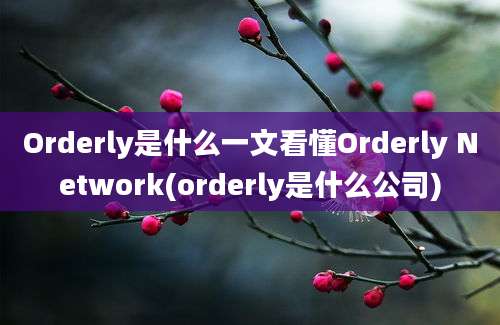 Orderly是什么一文看懂Orderly Network(orderly是什么公司)