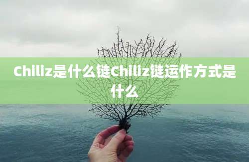 Chiliz是什么链Chiliz链运作方式是什么