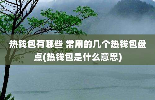 热钱包有哪些 常用的几个热钱包盘点(热钱包是什么意思)