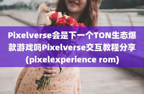 Pixelverse会是下一个TON生态爆款游戏吗Pixelverse交互教程分享(pixelexperience rom)