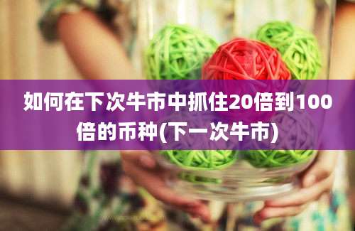 如何在下次牛市中抓住20倍到100倍的币种(下一次牛市)