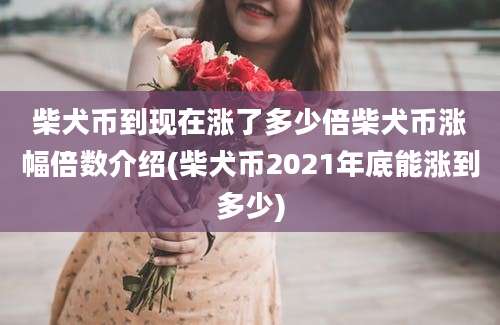 柴犬币到现在涨了多少倍柴犬币涨幅倍数介绍(柴犬币2021年底能涨到多少)