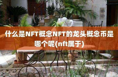 什么是NFT概念NFT的龙头概念币是哪个呢(nft属于)