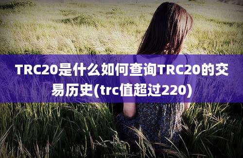 TRC20是什么如何查询TRC20的交易历史(trc值超过220)