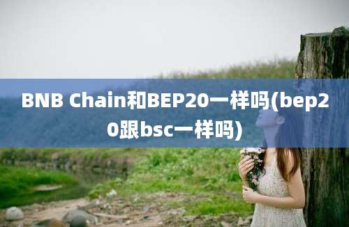 BNB Chain和BEP20一样吗(bep20跟bsc一样吗)