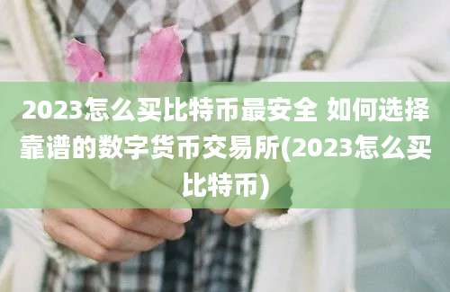 2023怎么买比特币最安全 如何选择靠谱的数字货币交易所(2023怎么买比特币)