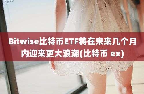 Bitwise比特币ETF将在未来几个月内迎来更大浪潮(比特币 ex)