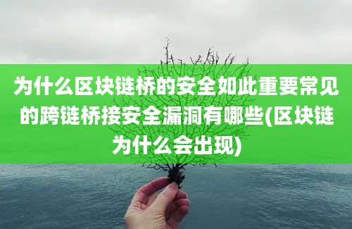 为什么区块链桥的安全如此重要常见的跨链桥接安全漏洞有哪些(区块链为什么会出现)